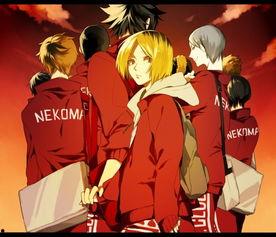 排球少年 第二季 ハイキュー!! セカンドシーズン,激战再起，梦想之巅