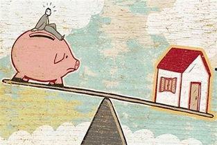 谁抢了我的房子,谁抢了我的房子，真相大白