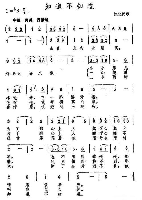 陕北牧歌,悠扬旋律中的黄土高原风情