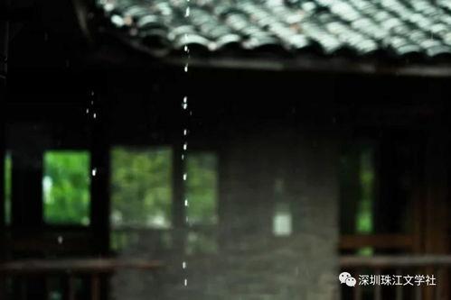 晚来承意,探寻岁月沉淀下的智慧之光