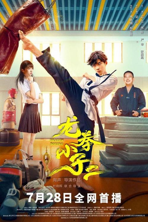 龙拳小子2,热血再燃，江湖传奇续篇